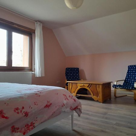 Appart 4 Pers Refait Neuf 90M2 Avec Balcon Бальденхейм Экстерьер фото