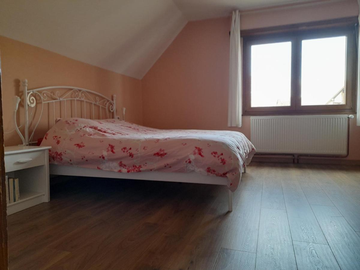 Appart 4 Pers Refait Neuf 90M2 Avec Balcon Бальденхейм Экстерьер фото